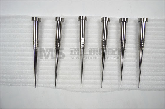 Tıbbi Kaliteli Kalıp Çekirdekleri.