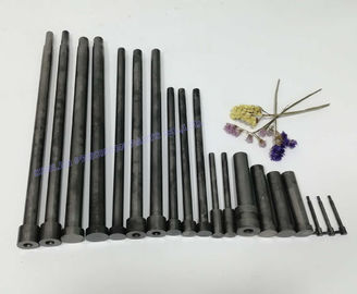 Yüksek Performanslı Kalıp Çekirdek Pimleri Döküm Araçları Paralelcilik 0.01mm Die